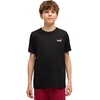 Marškinėliai vaikams Puma Ess 2 Color Small No.1 Logo Tee juoda 685779 71 (140cm)
