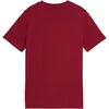 Marškinėliai vaikams Puma ESS Small No.1 Logo Centered Tee ruda 692975 23 (140cm)