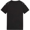 Vaikiški marškinėliai Puma Team Ultimate Jersey, juodi, 706282 03