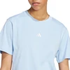 Moteriški marškinėliai adidas Essentials Small Logo jasnoniebieska JY4962 (L)