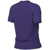 Nike Dri-Fit Park VIII moteriški marškinėliai, violetiniai, HV8178 547