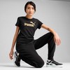 Puma Ess Metallic No. 1 Logo marškinėliai moterims 631536 51