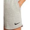 Moteriški šortai Nike Park 20 Trumpi šviesiai pilki CW6963 063 (XL)
