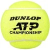 Teniso kamuol. DUNLOP ATP CHAMPIONSHIP 4PET ITF