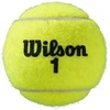 WILSON ROLAND GARROS (3) teniso kamuoliukai