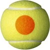 Wilson Starter Oranžinis (3 kam.)