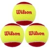 WILSON STARTER Raudonas teniso kamuoliukai (3 kam.)