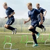Treniruočių barjerai SELECT Training hurdle 6/pack 50 cm x 23 cm