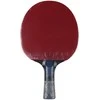 raketė stalo teniso Butterfly Dang Qiu DQX2