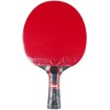 raketė stalo teniso Butterfly Dang Qiu DQX3