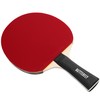 Butterfly Easy stalo teniso lazda