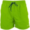 Šortai kąpielowe Crowell 300/400 žalia (XL)
