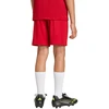 Adidas Šortai adidas ENTRADA 26 Short Junior JZ6528