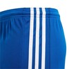 Adidas Squadra 21 Jr GK9156 šortai