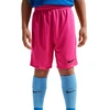 Šortai vaikams Nike Dry Park III NB K rožinė BV6865 616 (XS)