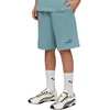 Šortai vaikams Puma ESS Small No.1 Logo mėlyna 692974 47 (164cm)