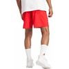 adidas Aeroready Essentials Chelsea Small Logo M IC9394 šortai