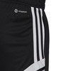 Adidas Condivo 22 M H21259 šortai