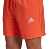 Adidas SL Essentials Chelsea vyriški šortai GK9606