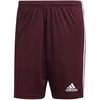 Adidas Squadra 21 Vyriški Šortai M GN8083