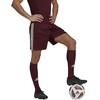 Adidas Squadra 21 Vyriški Šortai M GN8083