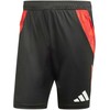 Šortai vyrams adidas Tiro 24 Competition Training juoda-raudona IR5484 (S)