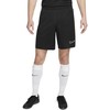 Nike Dri-FIT Academy M DV9742 010 šortai