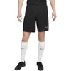Nike Dri-FIT Academy M DV9742 010 šortai