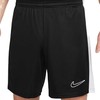 Nike Dri-FIT Academy M DV9742 010 šortai