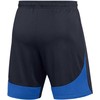 Nike Dri-FIT Academy Pro M Šortai DH9236-451
