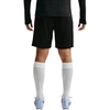 Šortai vyrams Nike Dri-FIT PSG juoda II2611 010 (S)