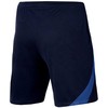 Nike NK DF Strike 22 Šortai KM DH8776 451