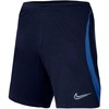 Nike NK DF Strike 22 Šortai KM DH8776 451