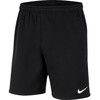 Nike Park 20 šortai M CW6910-010