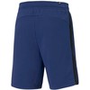 Puma Amplified Šortai M 585786 12