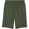 Šortai vyrams Puma ESS No.1 Logo 10" (s) khaki 682595 86 (2XL)