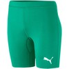 Šortai Puma Liga Baselayer