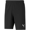 Puma teamRISE Šortai M 704942 04