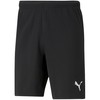 Puma teamRISE Šortai M 704942 04