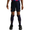 Sportinis komplektas mažiems vaikams Nike FC Barcelona Stadium 2026 bordo-granatinis II1625 683 (S)