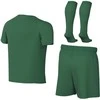 Sportinis komplektas dla małych dzieci Nike Dri-Fit Park VIII žalia HV8260 302 (S)