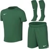 Sportinis komplektas dla małych dzieci Nike Dri-Fit Park VIII žalia HV8260 302 (S)