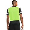 Nike Park 20 Treniruočių atributika DV7425-313