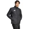 Striukė vyriška adidas Entrada 26 Light juoda JZ9141 (M)