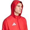 Striukė vyriška adidas Entrada 26 Multi raudona KQ9072 (2XL)