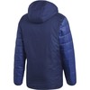 Mėsinis striukė adidas Winter Jacket 18 M CV8271