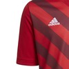 adidas Entrada 22 Grafinis Marškinėliai Jaunesniesiems H58983