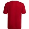 Vaikiški marškinėliai Adidas Entrada 22 Jsy H57496, raudona