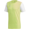 adidas Estro 19 JSY Y Jr DP3229 futbolo marškinėliai