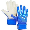 Puma Future Match Nc futbolo vartininko pirštinės